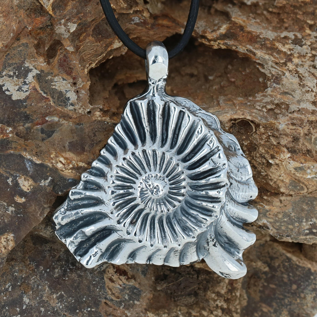 The Ammonite Cast History