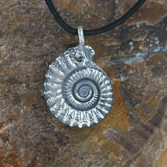 The Nautilus History